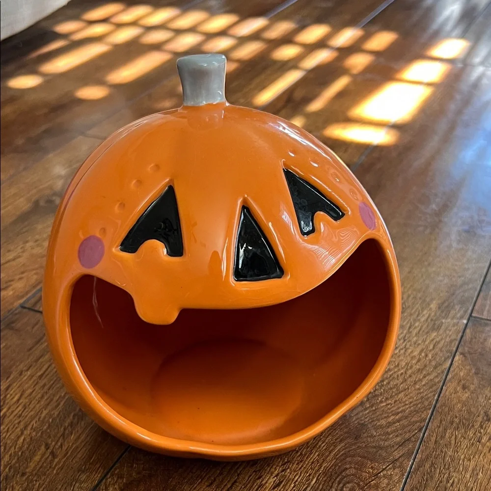 Candy bowl or Sink Sponge